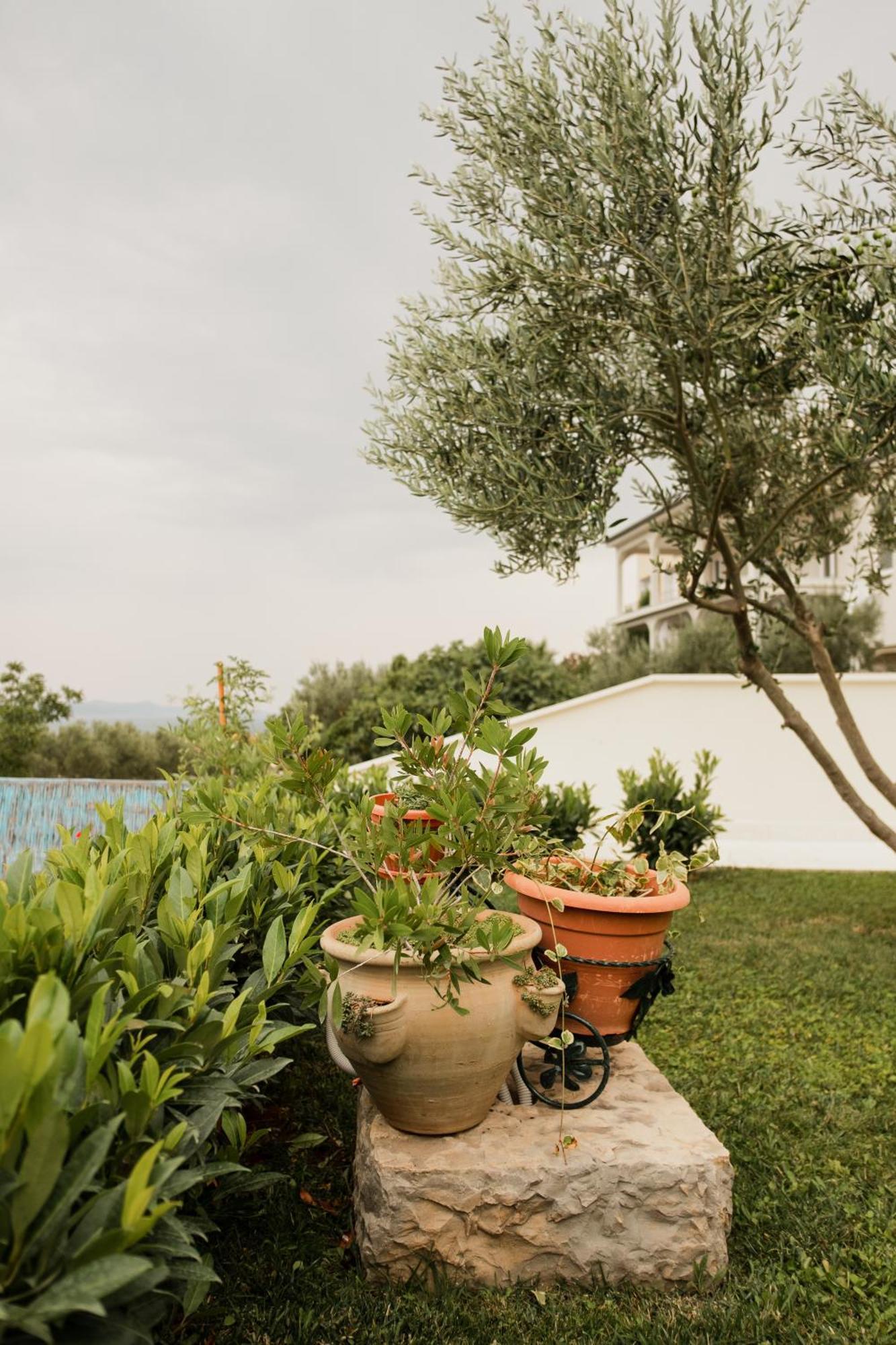 Vila Maricic สเวติ เปตาร์ ภายนอก รูปภาพ